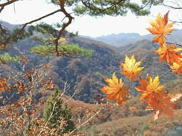 电脑重启不求人！掌握这几种方法，让你轻松搞定电脑重启